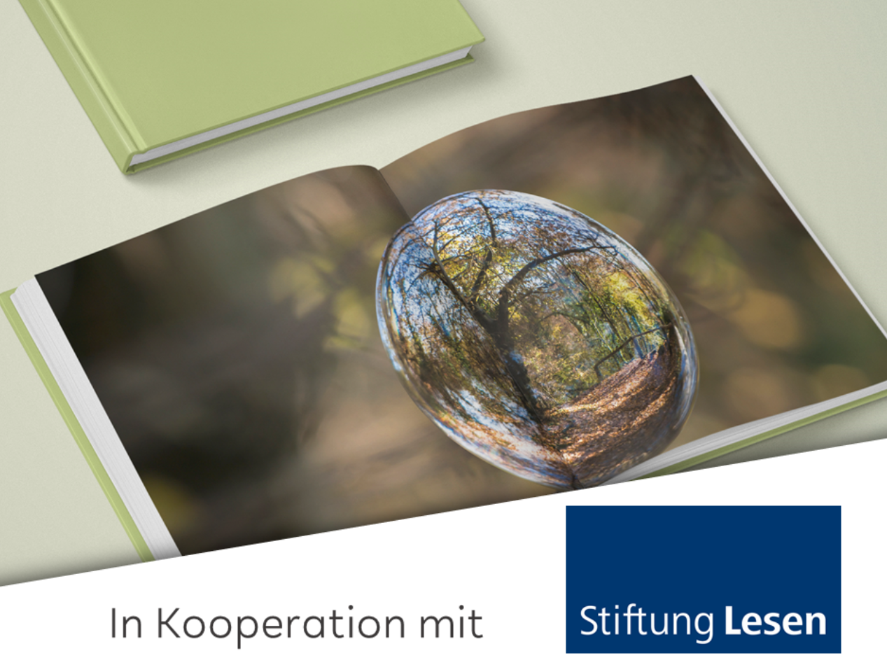 Vorlesen und Nachdenkgespräche zum Thema Pflanzen, Garten, Natur (M24-148)